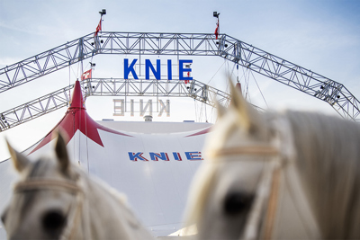 KNIE Ersatzneubau Winterquartier